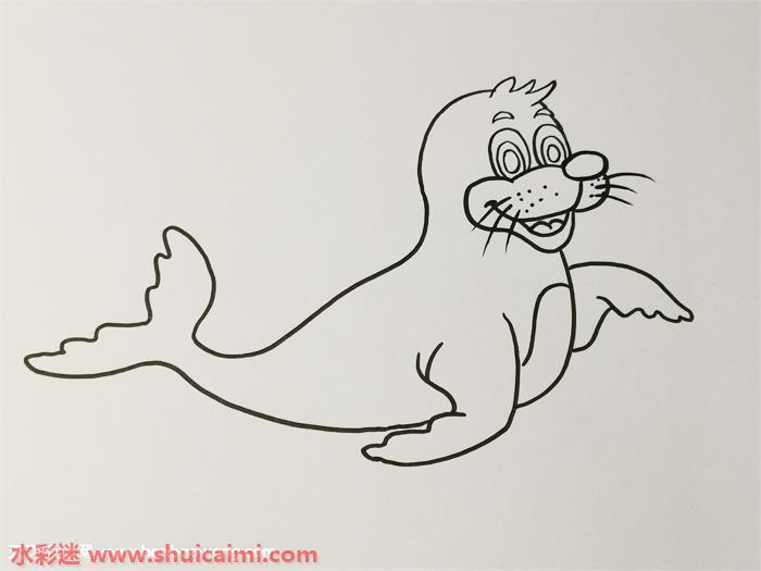 彩色可爱海豹怎么画 可爱海豹简笔画图片大全带颜色
