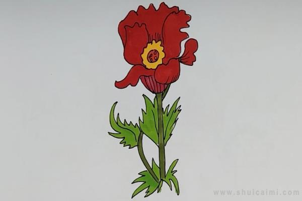 虞美人简笔画怎么画 虞美人简笔画画法