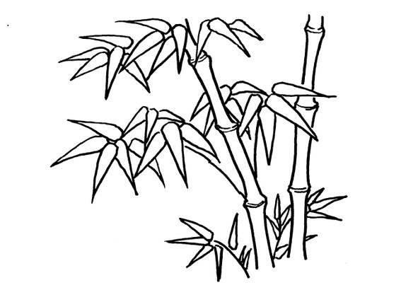 竹子简笔画 竹子简笔画好看又简单