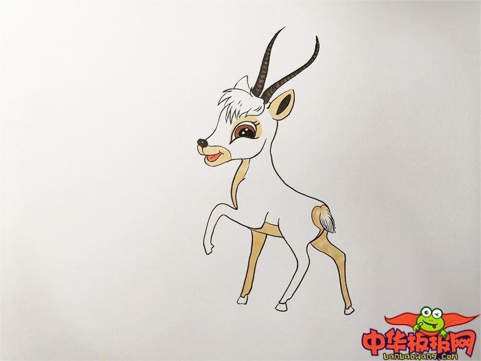 小藏羚羊怎么画 小藏羚羊简笔画画法
