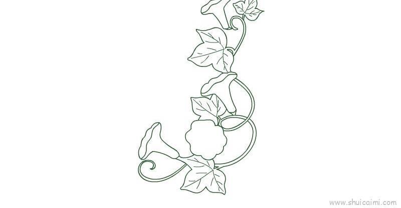 藤蔓儿童画怎么画 藤蔓简笔画简单