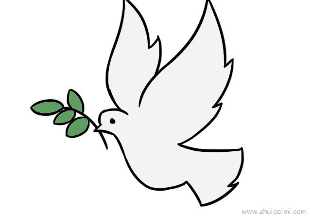 白鸽三步完成儿童画怎么画 白鸽三步完成简笔画画法
