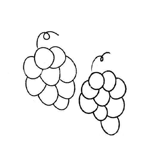 葡萄简笔画图片大全 葡萄简笔画图片大全带颜色