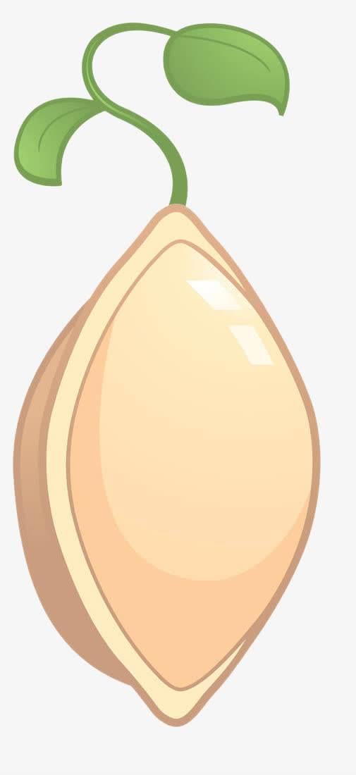 种子简笔画 种子简笔画豆子