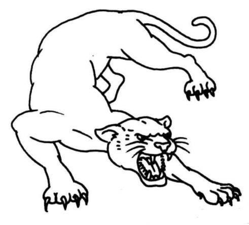 豹子简笔画 豹子简笔画凶猛又简单