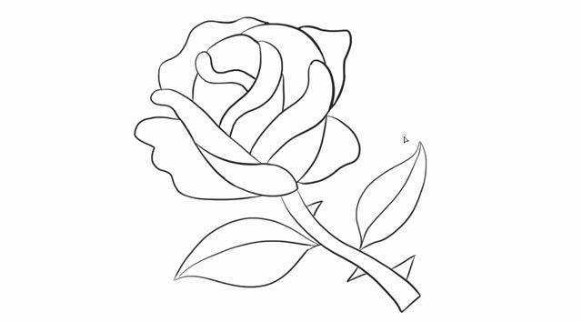 玫瑰花怎么画简笔画又漂亮 玫瑰花怎么画简笔画又漂亮 一步一步