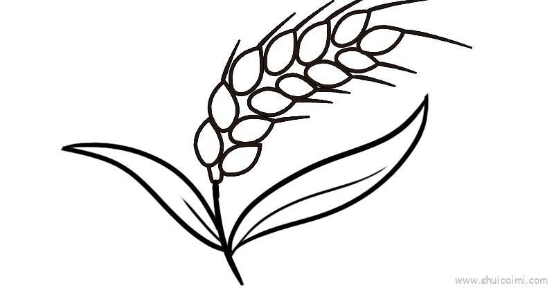 麦穗儿童画怎么画 麦穗简笔画简单
