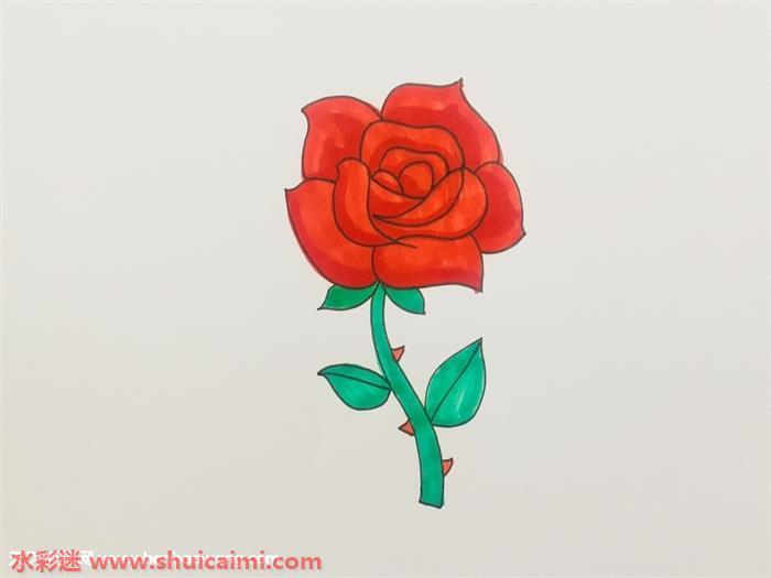 盛开玫瑰花怎么画 盛开玫瑰花简笔画步骤图