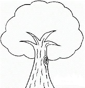 简笔画图片大全树 简笔画图片大全树木带颜色