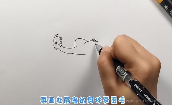 杜鹃鸟简笔画怎么画 杜鹃鸟简笔画好看