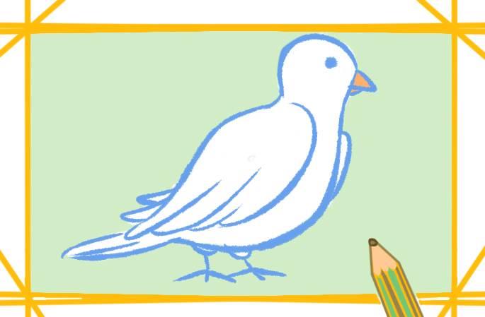 白鸽简笔画 白鸽简笔画飞翔
