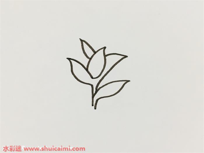 茶树怎么画 茶树简笔画图片大全带颜色