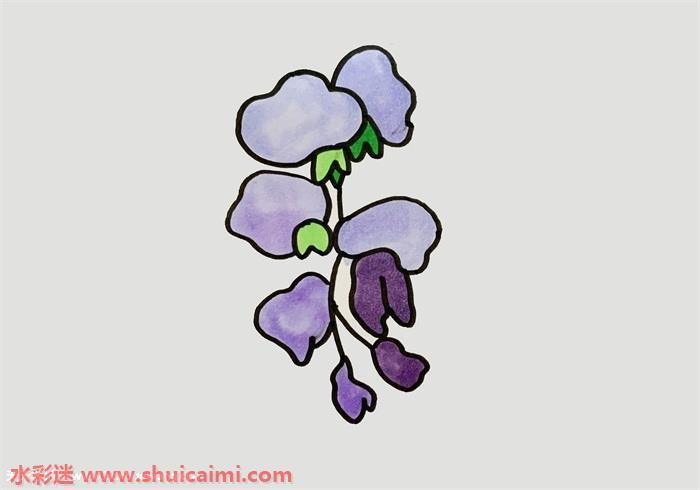 紫藤花怎么画 紫藤花简笔画画法