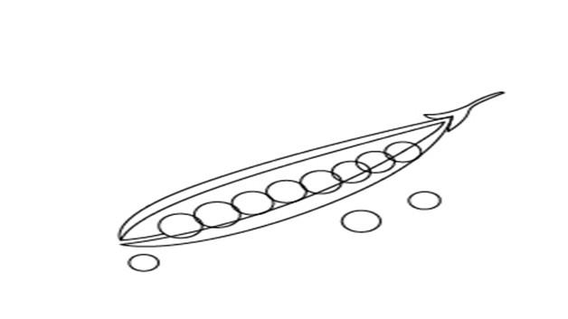 豌豆的简笔画怎么画 豌豆简笔画画法
