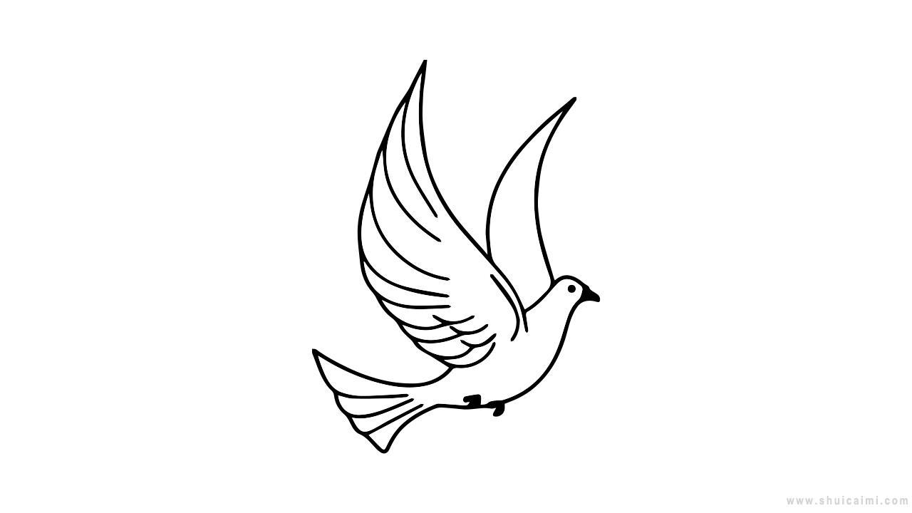 飞鸽简笔画怎么画 飞鸽简笔画好看