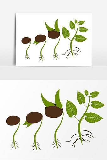 种子简笔画 种子简笔画豆子