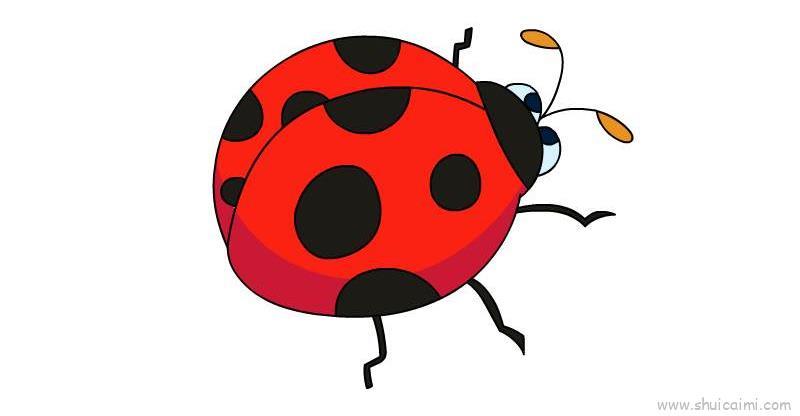 瓢虫儿童画怎么画 瓢虫简笔画简单