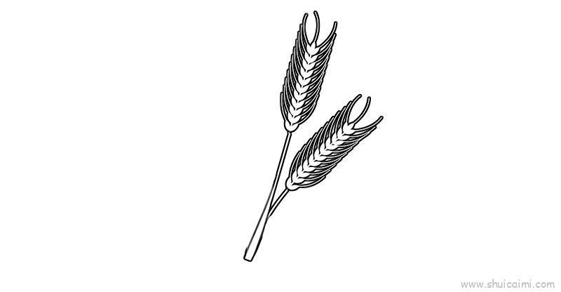麦子教程儿童画怎么画 麦子教程简笔画顺序