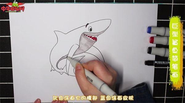 巨型鲨鱼怎么画 巨型鲨鱼简笔画简单又漂亮彩色