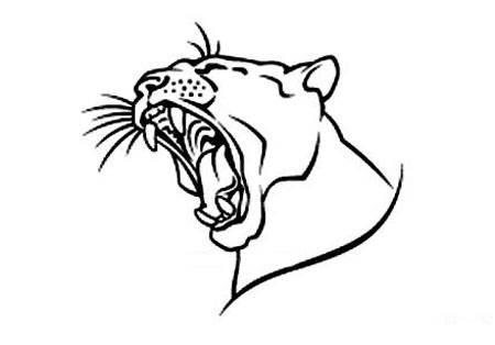 豹子简笔画 豹子简笔画凶猛又简单