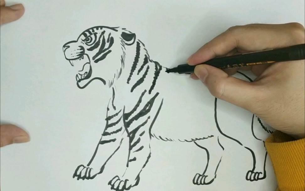 老虎简笔画 老虎简笔画霸气