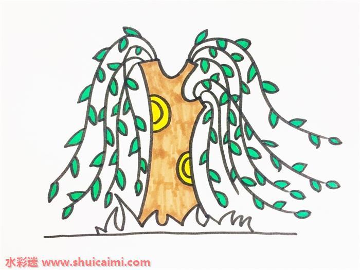 茂密柳树怎么画 茂密柳树简笔画步骤