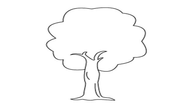 杨树的简笔画怎么画 杨树简笔画步骤