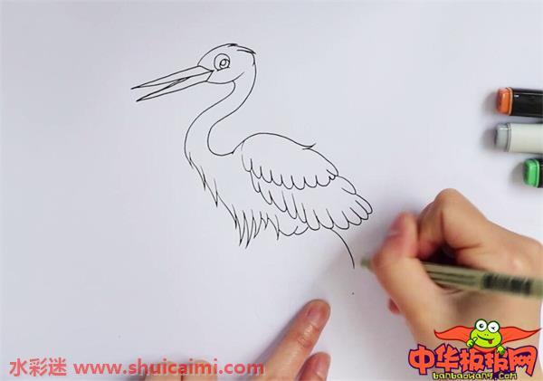 白鹭怎么画 白鹭简笔画图片大全带颜色