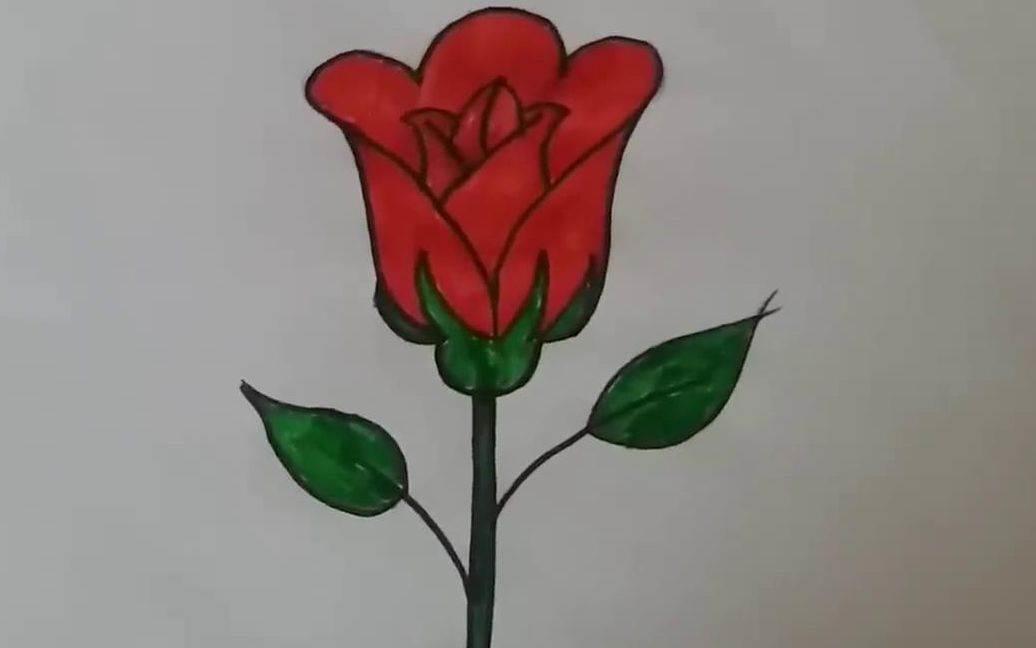 玫瑰花怎么画 玫瑰花怎么画最好看