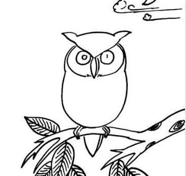 猫头鹰的简笔画图片大全 猫头鹰的简笔画图片大全可爱简单