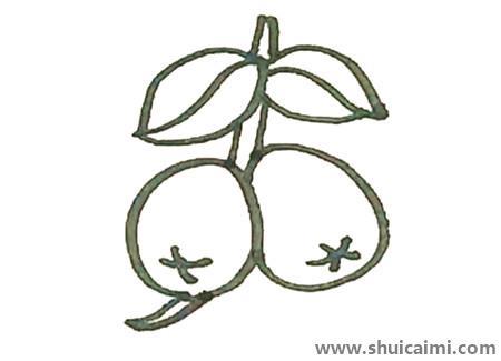 枇杷儿童简笔画