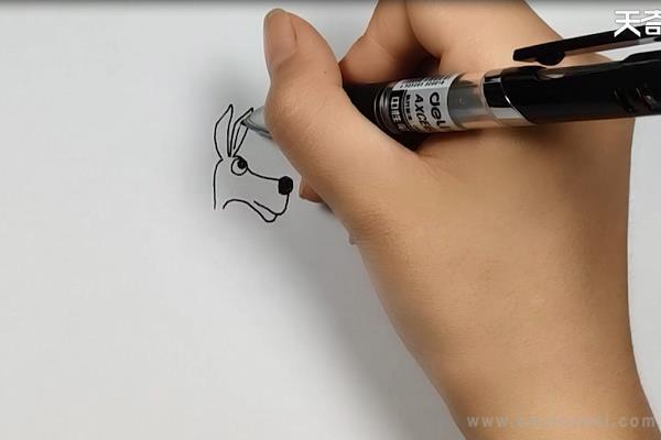 袋鼠简笔画怎么画 袋鼠简笔画好看