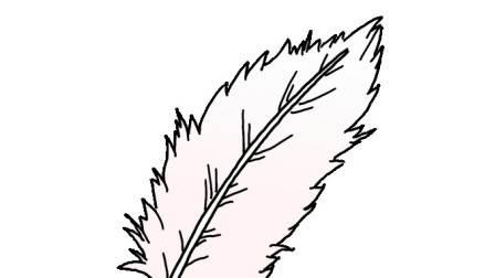 鹅毛笔简笔画大全教程 鹅毛笔的简笔画