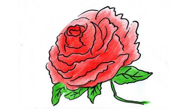 牡丹花的简笔画 牡丹花的简笔画简单漂亮