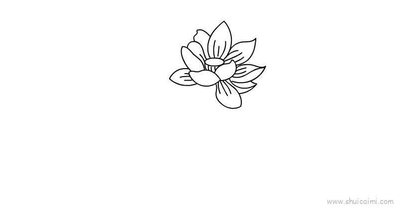 荷花儿童画怎么画 荷花简笔画步骤