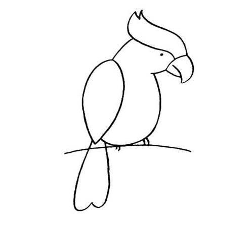 鹦鹉简笔画图片大全 鹦鹉简笔画图片大全可爱图片