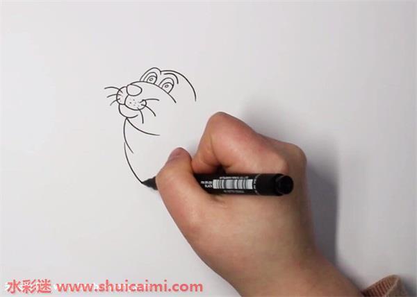 海豹怎么画 海豹简笔画简单好看带颜色