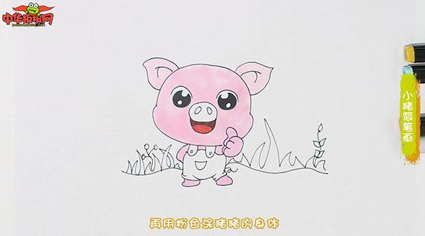 小猪怎么画 小猪简笔画图片大全带颜色