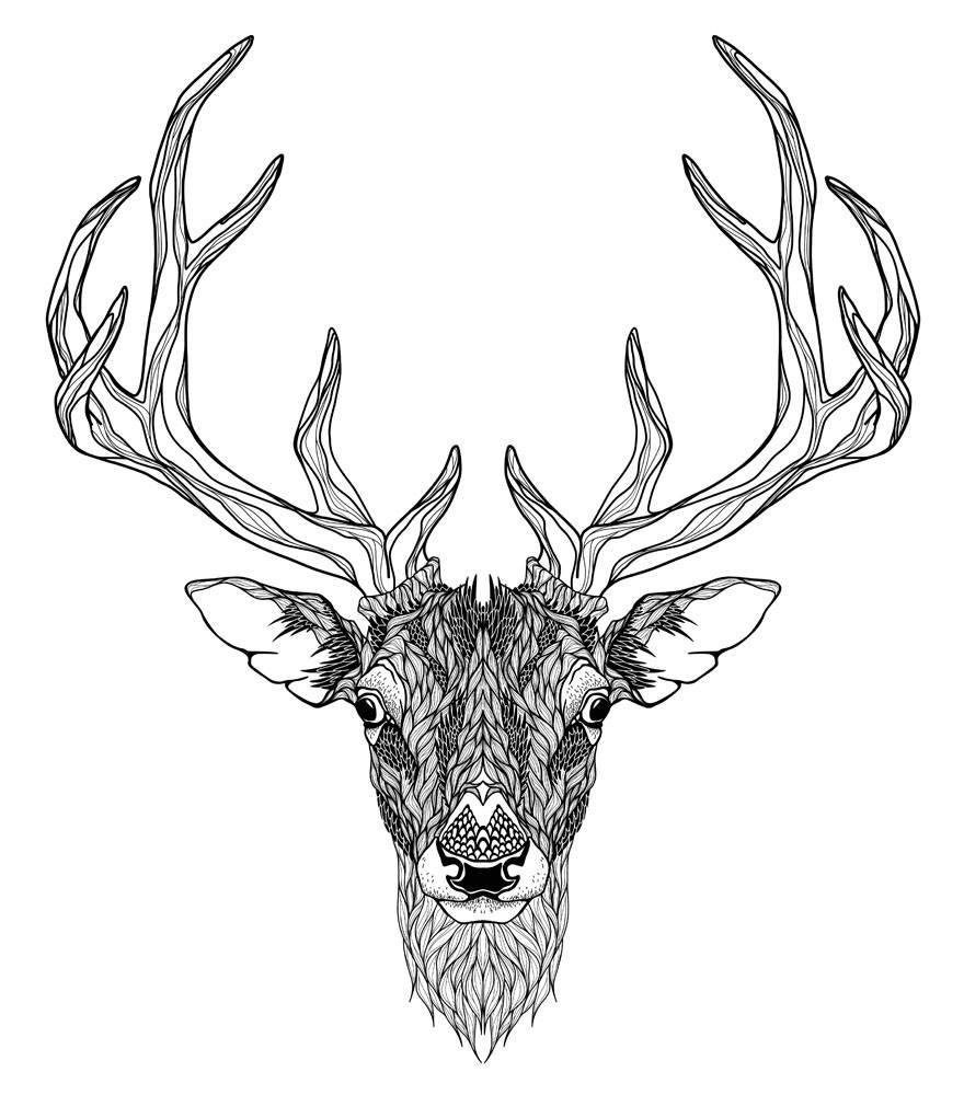 鹿的简笔画 鹿的简笔画图片大全