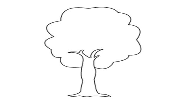 杨树的简笔画怎么画 杨树简笔画步骤