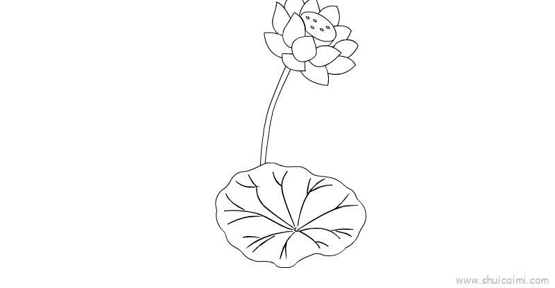 荷花儿童画怎么画 荷花简笔画图片大全