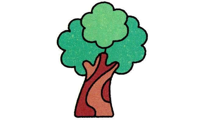 榕树简笔画 榕树简笔画图片带颜色