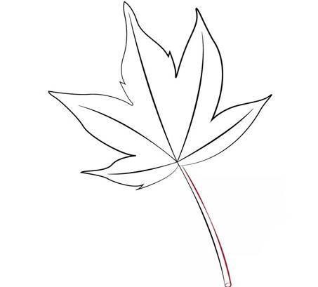 枫树简笔画 枫树简笔画图片大全大图