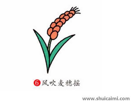 麦穗儿童简笔画