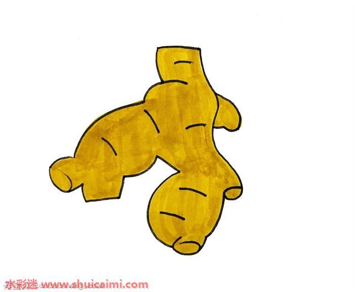 生姜怎么画 生姜简笔画彩色