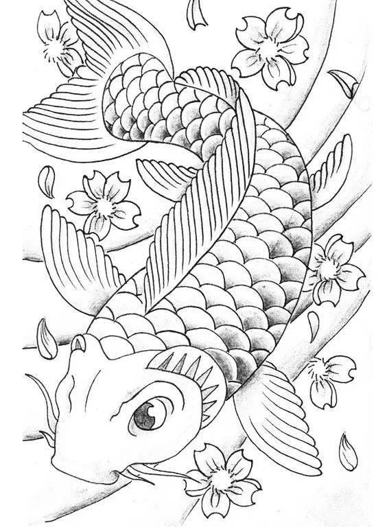 锦鲤简笔画 锦鲤简笔画图片