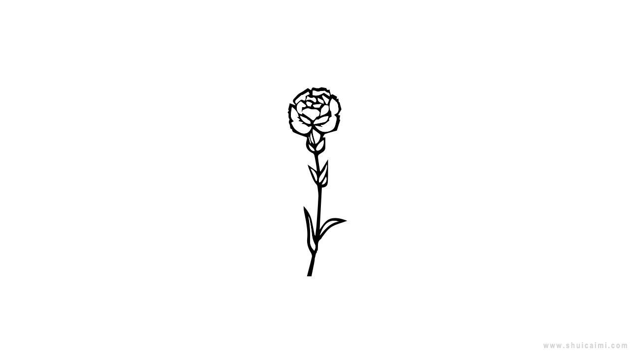 一束康乃馨简笔画怎么画 一束康乃馨简笔画顺序