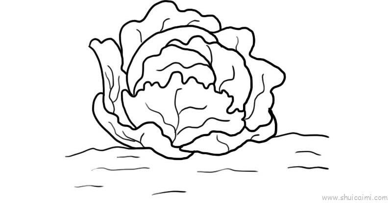 包包白儿童画怎么画 包包白简笔画画法