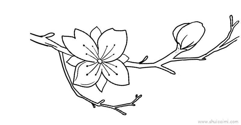 桃花儿童画怎么画 桃花简笔画步骤