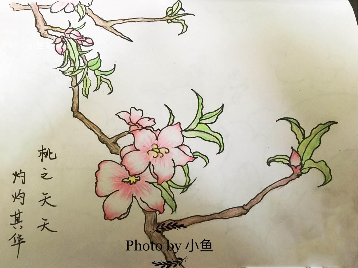 桃树简笔画图片大全 桃树简笔画图片大全集彩色
